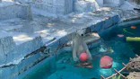 天王寺動物園に投稿された画像（2024/8/11）