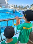 マリンワールド海の中道に投稿された画像（2024/8/11）