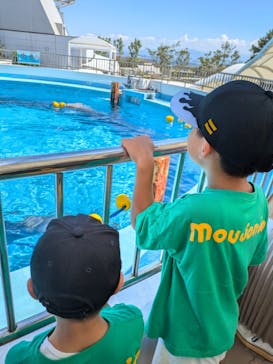 マリンワールド海の中道に投稿された画像（2024/8/11）