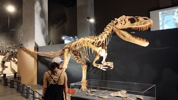 福井県立恐竜博物館に投稿された画像（2024/8/11）