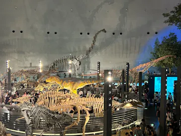 福井県立恐竜博物館に投稿された画像（2024/8/11）