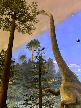 福井県立恐竜博物館に投稿された画像（2024/8/11）