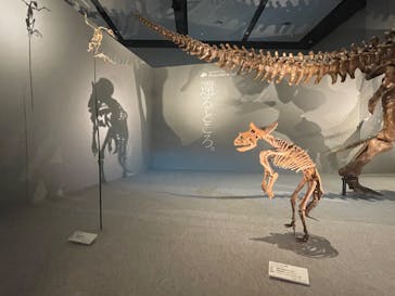 DinoScience 恐竜科学博 ～ララミディア大陸の恐竜物語～ 2024@OSAKAに投稿された画像（2024/8/11）