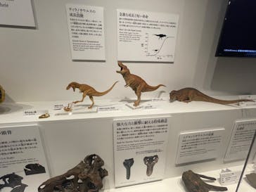 DinoScience 恐竜科学博 ～ララミディア大陸の恐竜物語～ 2024@OSAKAに投稿された画像（2024/8/11）