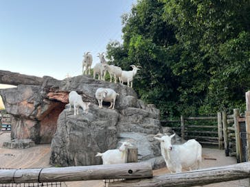 到津の森公園に投稿された画像（2024/8/11）