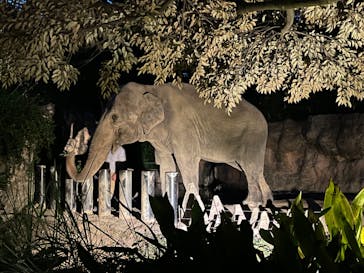 到津の森公園に投稿された画像（2024/8/11）