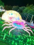 伊豆ぐらんぱる公園に投稿された画像（2024/8/11）