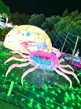 伊豆ぐらんぱる公園に投稿された画像（2024/8/11）