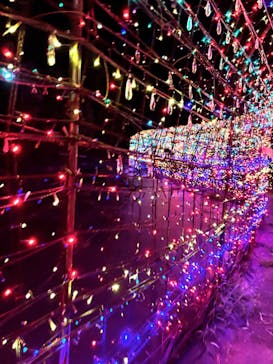 伊豆ぐらんぱる公園に投稿された画像（2024/8/11）