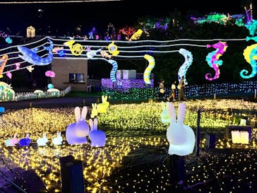 伊豆ぐらんぱる公園に投稿された画像（2024/8/11）