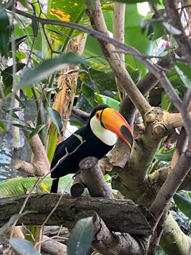 那須どうぶつ王国に投稿された画像（2024/8/11）