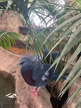 那須どうぶつ王国に投稿された画像（2024/8/11）