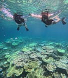 西表島 ADVENTURE PiPi（アドベンチャーピピ）に投稿された画像（2024/8/11）