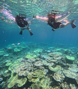 西表島 ADVENTURE PiPi（アドベンチャーピピ）に投稿された画像（2024/8/11）