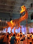 巨大恐竜展2024に投稿された画像（2024/8/11）