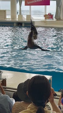 アクアワールド茨城県大洗水族館に投稿された画像（2024/8/11）