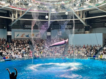 マクセル アクアパーク品川に投稿された画像（2024/8/11）