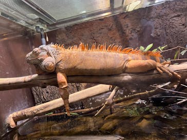 マクセル アクアパーク品川に投稿された画像（2024/8/11）