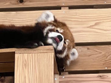 到津の森公園に投稿された画像（2024/8/11）