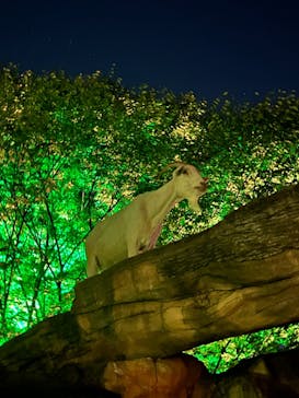 到津の森公園に投稿された画像（2024/8/11）