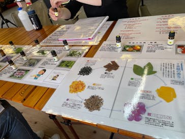 スポートピアふらのに投稿された画像（2024/8/11）