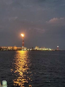 レクトラベルに投稿された画像（2024/8/11）