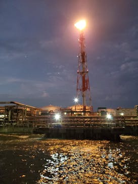 レクトラベルに投稿された画像（2024/8/11）