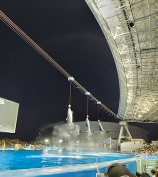 名古屋港水族館に投稿された画像（2024/8/11）