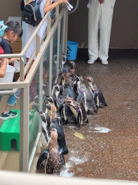 アクアワールド茨城県大洗水族館に投稿された画像（2024/8/11）