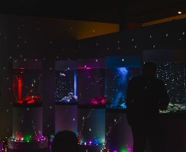 NARA KINGYO MUSEUMに投稿された画像（2024/8/11）