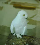 天王寺動物園に投稿された画像（2024/8/12）