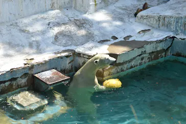天王寺動物園に投稿された画像（2024/8/11）