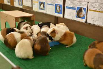 天王寺動物園に投稿された画像（2024/8/11）