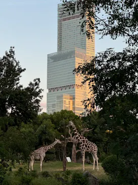 天王寺動物園に投稿された画像（2024/8/11）