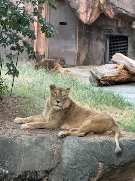 天王寺動物園に投稿された画像（2024/8/11）