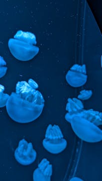 AOAO SAPPOROに投稿された画像（2024/8/11）