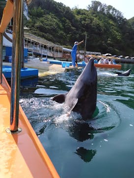 下田海中水族館に投稿された画像（2024/8/11）