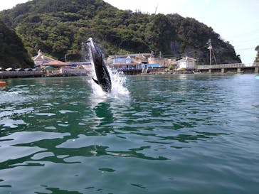 下田海中水族館に投稿された画像（2024/8/11）