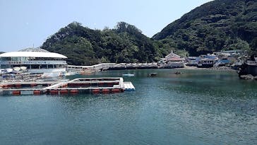 下田海中水族館に投稿された画像（2024/8/11）