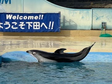 下田海中水族館に投稿された画像（2024/8/11）