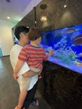 アクアワールド茨城県大洗水族館に投稿された画像（2024/8/12）