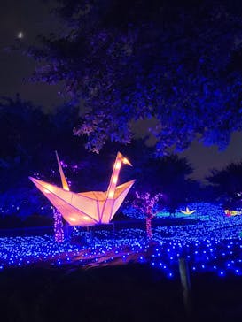 伊豆ぐらんぱる公園に投稿された画像（2024/8/11）