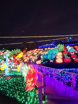 伊豆ぐらんぱる公園に投稿された画像（2024/8/11）