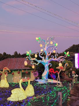 伊豆ぐらんぱる公園に投稿された画像（2024/8/11）