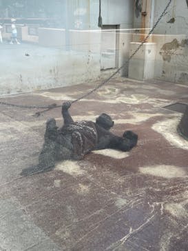 姫路セントラルパークに投稿された画像（2024/8/11）