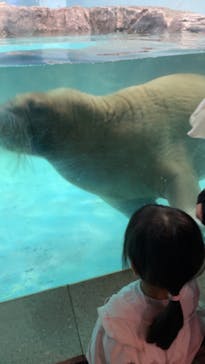 伊豆・三津シーパラダイスに投稿された画像（2024/8/11）