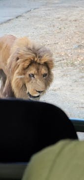 群馬サファリパークに投稿された画像（2024/8/11）