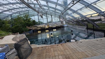 アクアマリンふくしまに投稿された画像（2024/8/11）