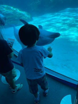 名古屋港水族館に投稿された画像（2024/8/11）