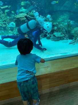 名古屋港水族館に投稿された画像（2024/8/11）